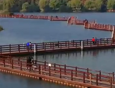 虎丘濕地水上浮橋